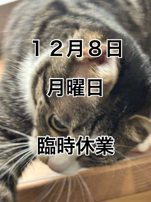 臨時休業のお知らせ